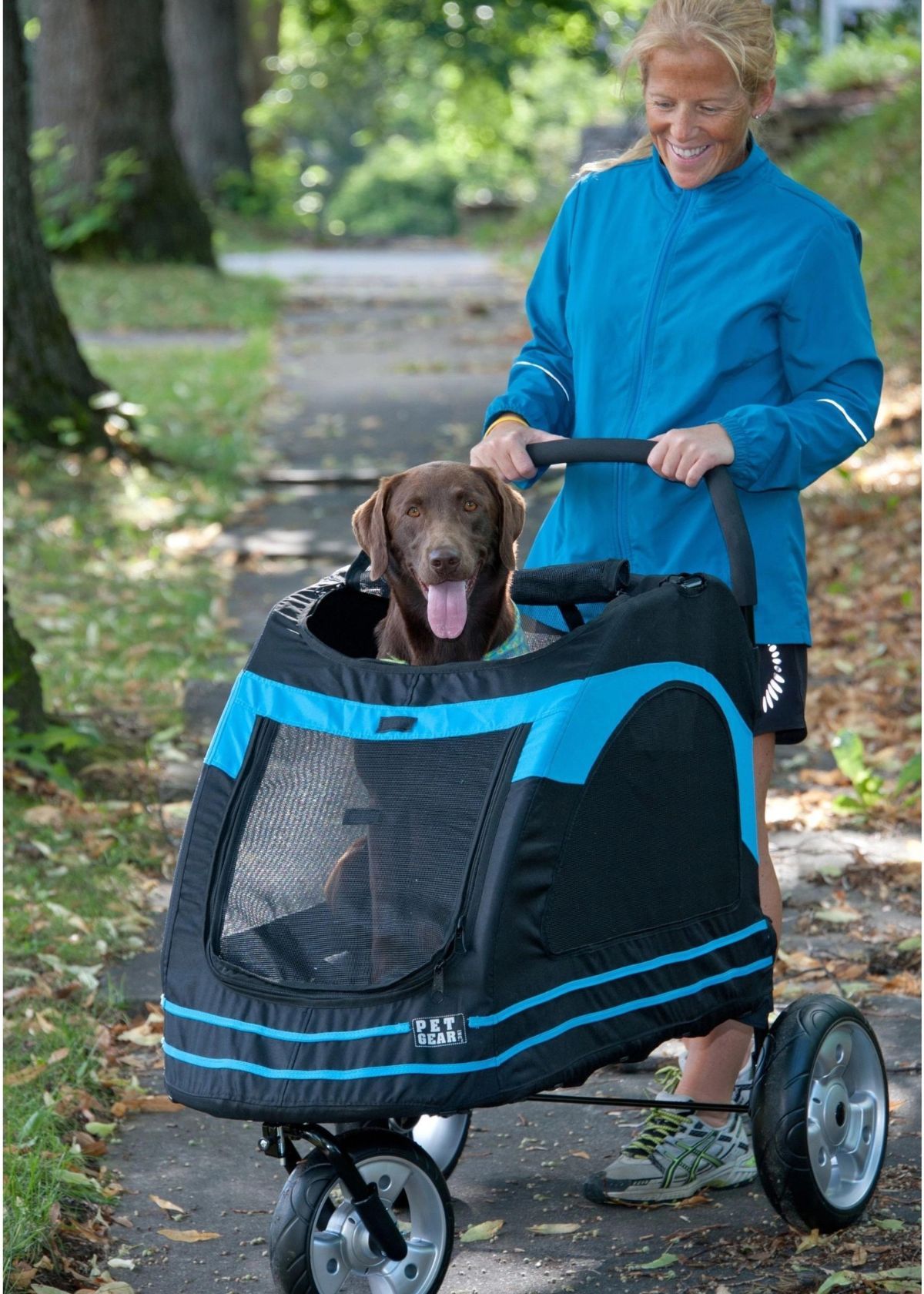 Dog Stroller for Large Dog The Best Option for Walking Your Dog