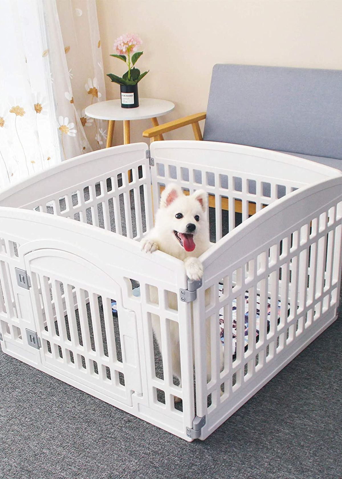 The Best Indoor Dog Play Pen Top 5 picks in 2023