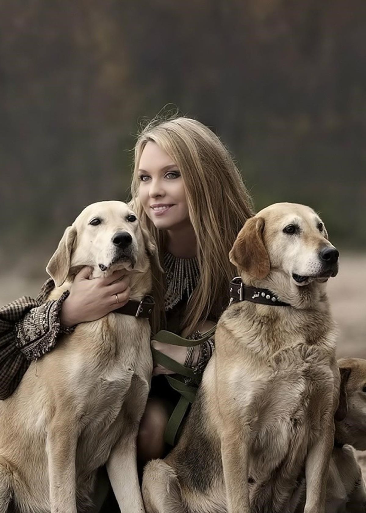 royal canin wet dog food