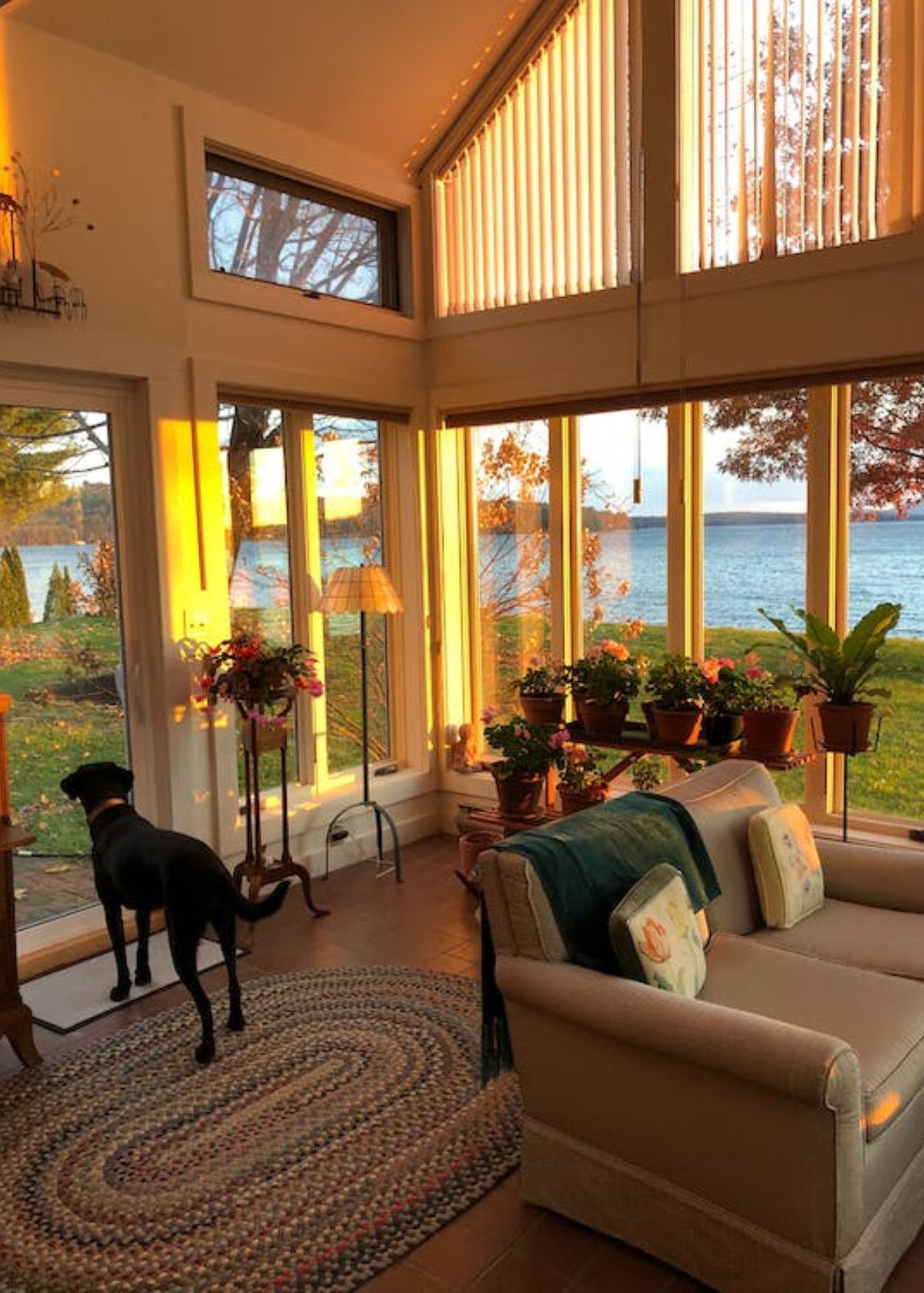 Best Indoor Dog House