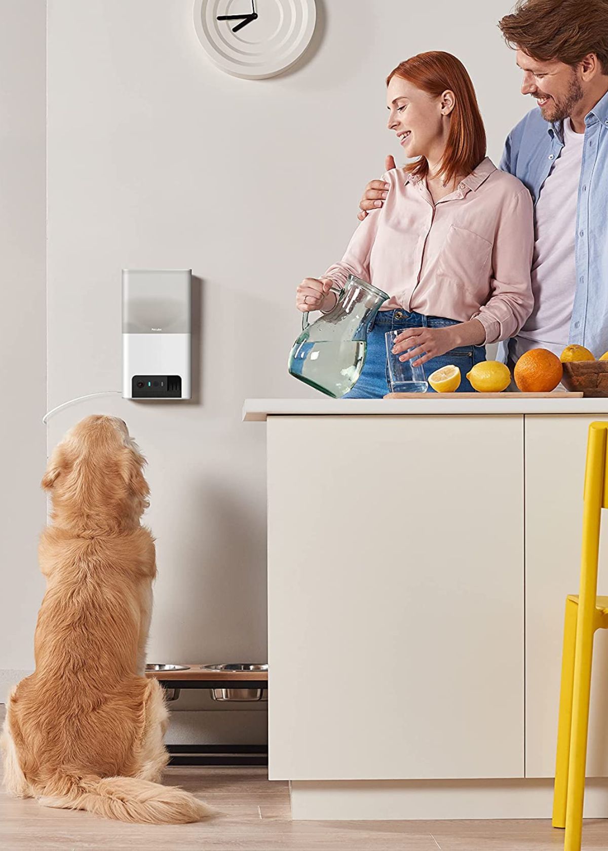 Automatic Dog Treat Dispenser