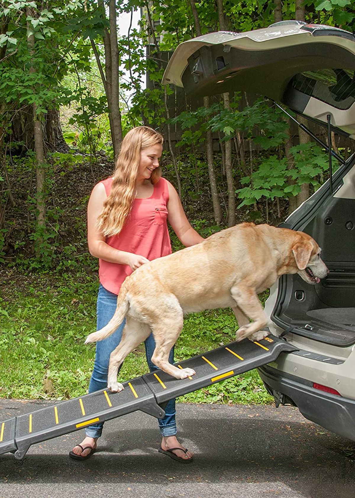 Dog Ramp for Car